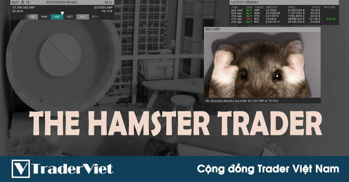 Chú chuột tự giao dịch tiền số thay chủ, lãi 24% sau 3 tháng