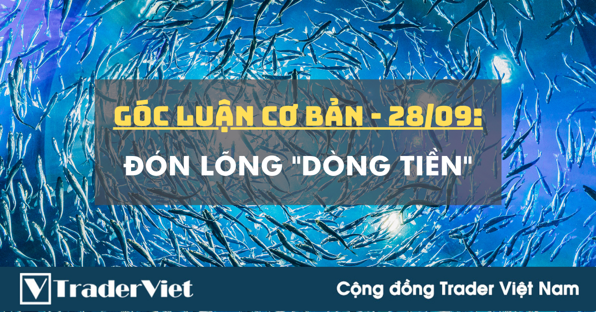 Góc Luận Cơ Bản 28/09: Đón lõng "Dòng Tiền"