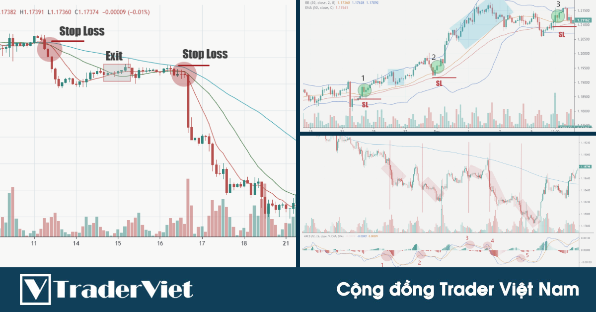 3 chiến lược giao dịch theo xu hướng "vừa đơn giản vừa có xác suất cao" được các trader thành công sử dụng
