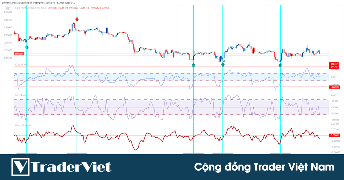 Kiếm 200 pip mỗi ngày với chiến lược kết hợp 3 chỉ báo động lượng: CCI, W% R và Momentum