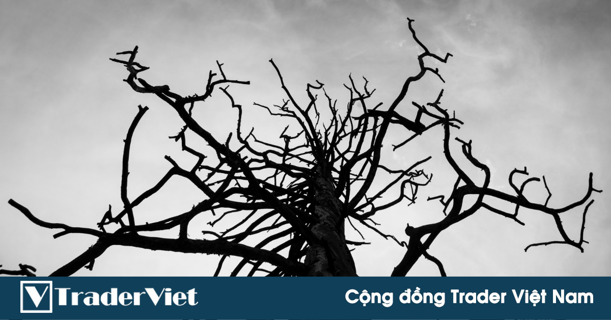 6 điều ngộ nhận mà anh em trade coin nhất định phải "tránh như tránh tà"