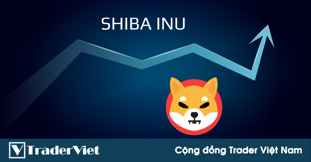 Elon Musk tuyên bố không đầu tư Shiba Inu, chỉ “yêu” mỗi DOGE – Lý do SHIB có thể bắt đầu “dump”?