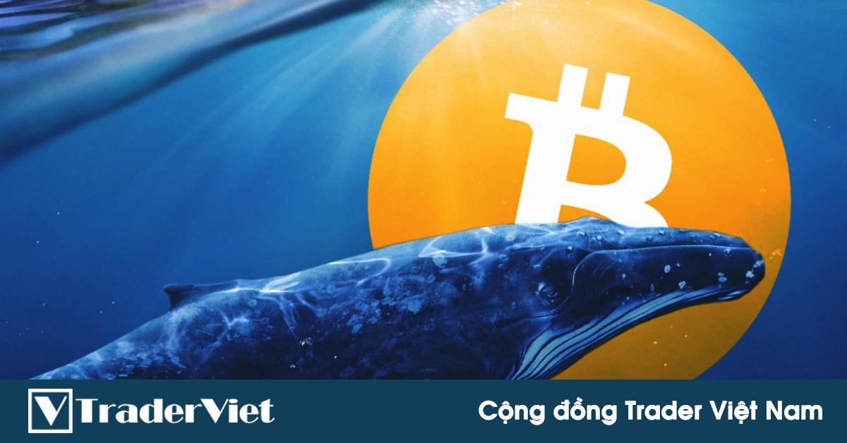 Những ai đang "kiểm soát" Bitcoin?