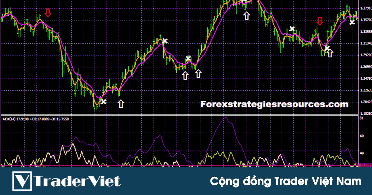 Chiến lược bắt từng con sóng trên khung D1 dựa vào tín hiệu giao cắt của 2 đường EMA và ADX