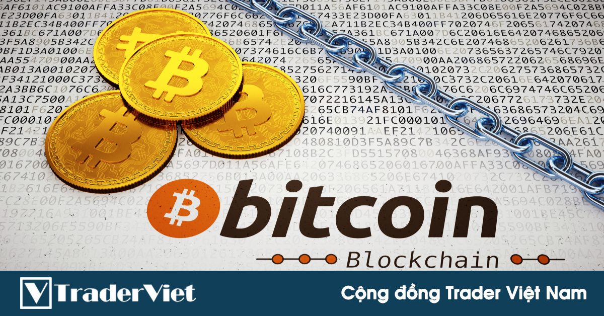 [Phân tích On-chain] Bitcoin hồi phục khi các ngưỡng hỗ trợ phía dưới khá tốt
