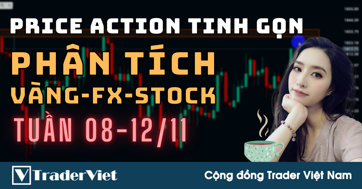 Phân Tích VÀNG-FOREX-STOCK Tuần 08-12/11 Theo Phương Pháp Price Action Tinh Gọn