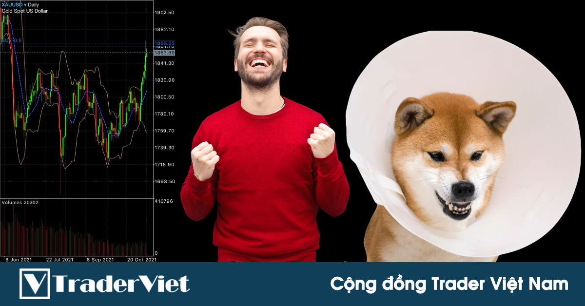 Điểm nóng MXH 11/11 - Cộng đồng Trader Việt Nam: Pha về bờ sau nửa năm bị cậu Vàng cắn...
