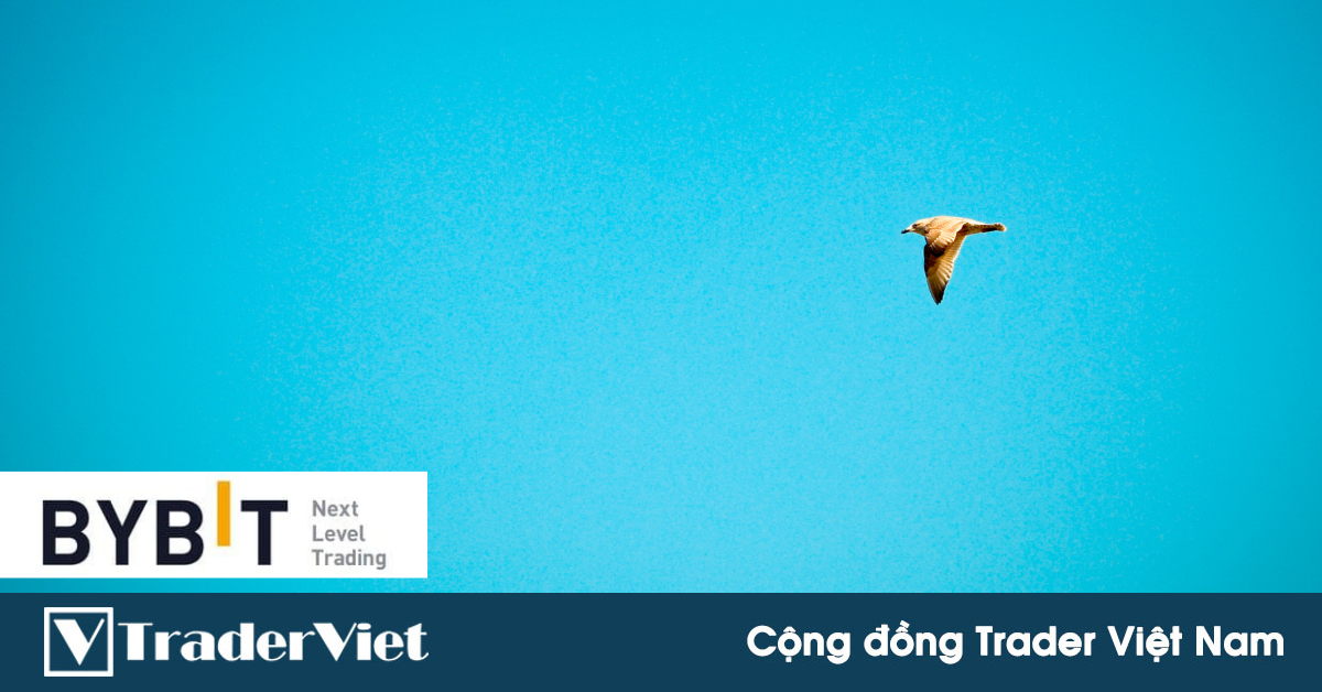 Hôm nay trade coin gì? - Ngày 24/11: Chờ phá vỡ hộp!