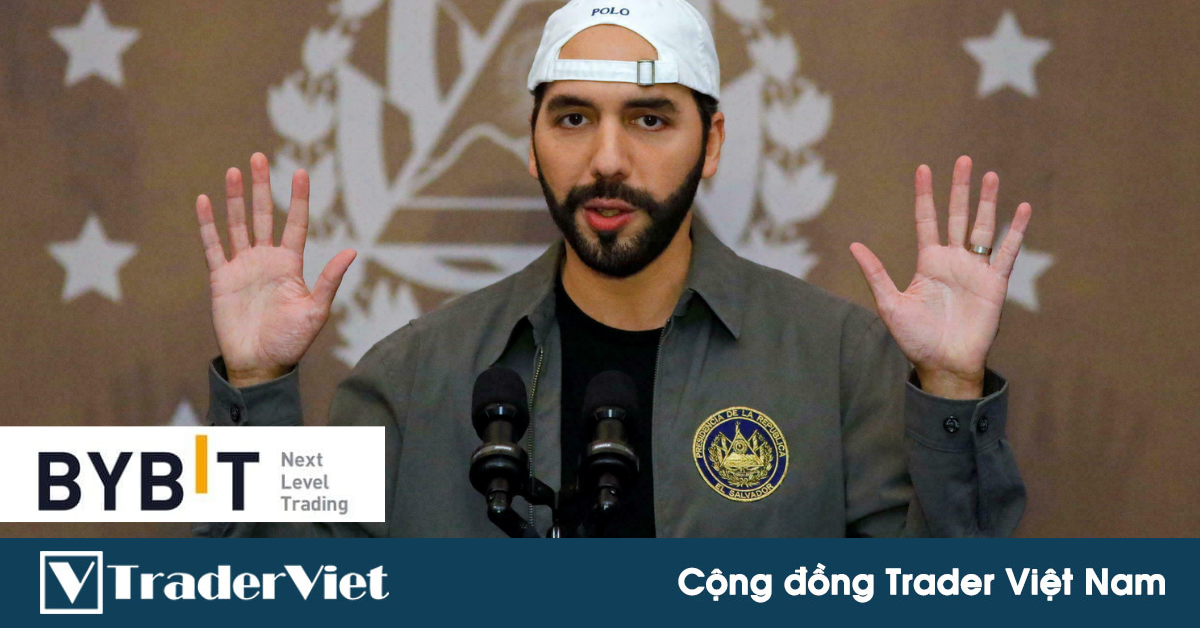 Bitcoin giảm mạnh, Tổng thống El Salvador lao vào bắt đáy!