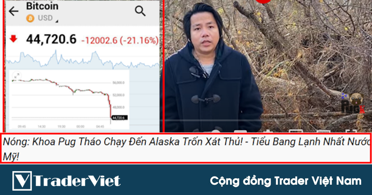 Điểm nóng MXH 06/12 - Cộng đồng Trader Việt Nam: Chuyện tâm linh giữa Khoa Pug và cú dump của Bitcoin!