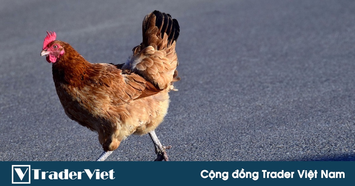 Cảnh báo về thủ đoạn lừa đảo đầu tư tài chính qua mạng khiến nhiều nhà đầu tư sập bẫy