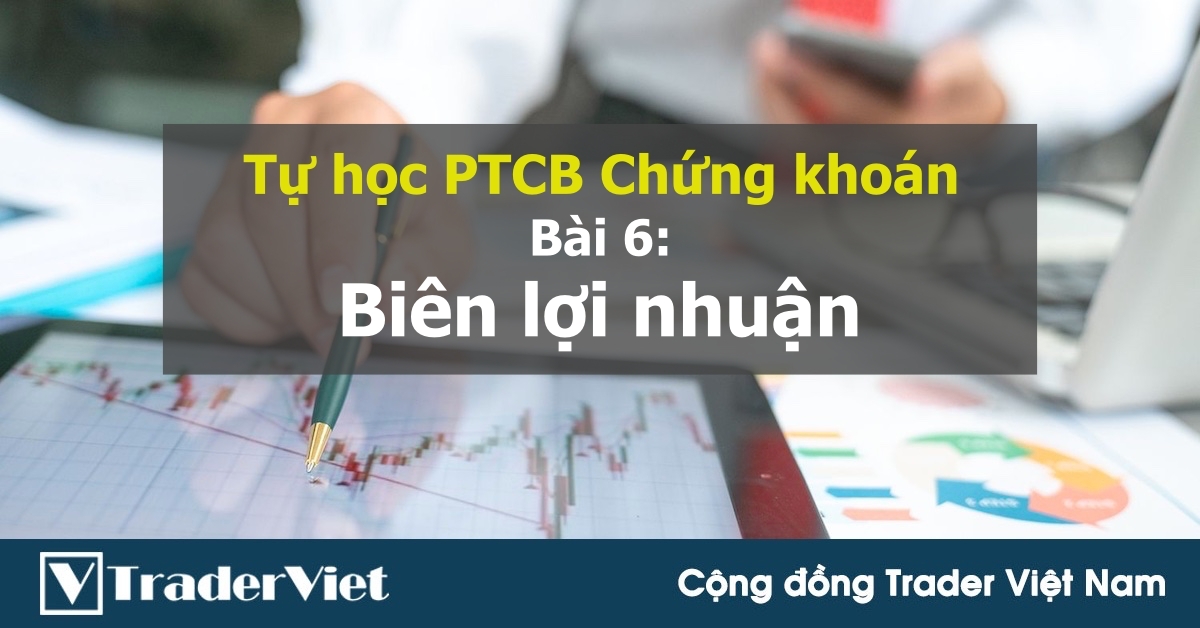 [Tự học PTCB chứng khoán] Bài 6: Biên lợi nhuận