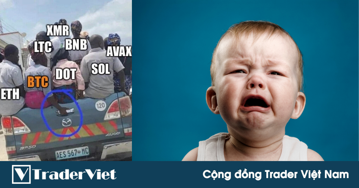 Điểm nóng MXH 10/12 - Cộng đồng Trader Việt Nam: Cậu cả ở trong gia phả crypto là ai?
