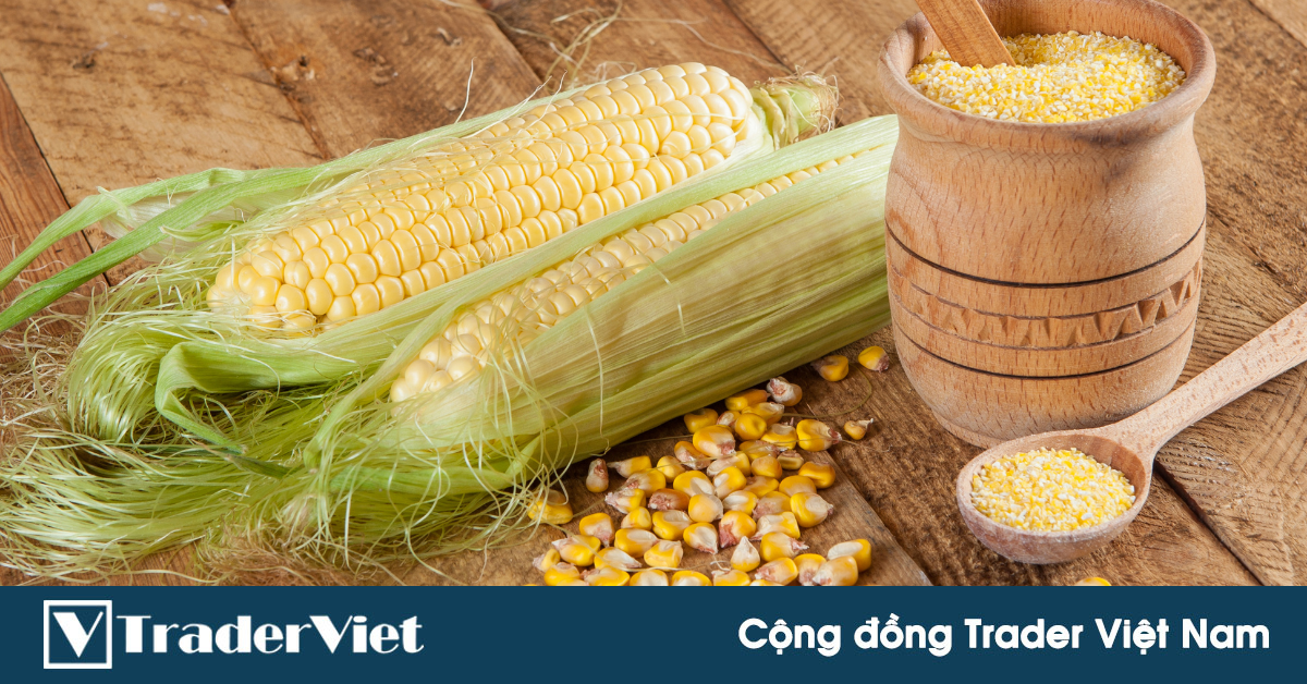 Báo cáo thanh tra xuất khẩu hàng tuần: Giao hàng Ngô có xu hướng tăng ngắn hạn!