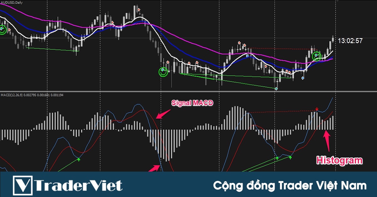 Tất tần tật về MACD-Histogram - Giá lên hay xuống? (Phần 4)