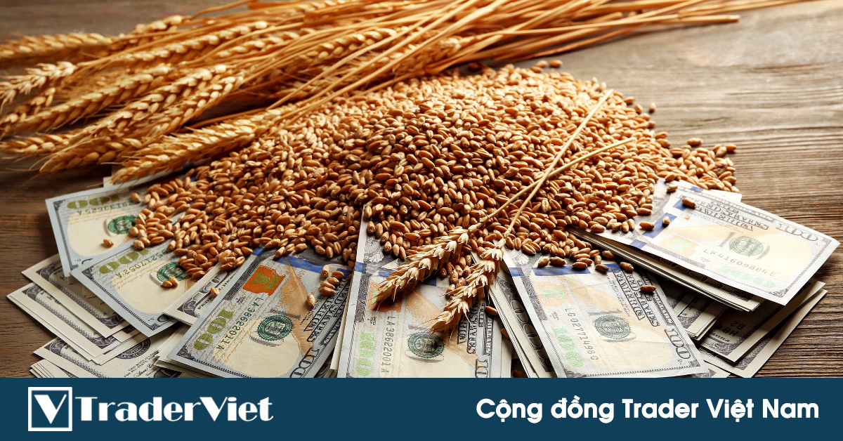 Báo cáo Thanh tra xuất khẩu Tuần: Giao hàng Lúa Mì của Mỹ tăng mạnh so với tuần trước