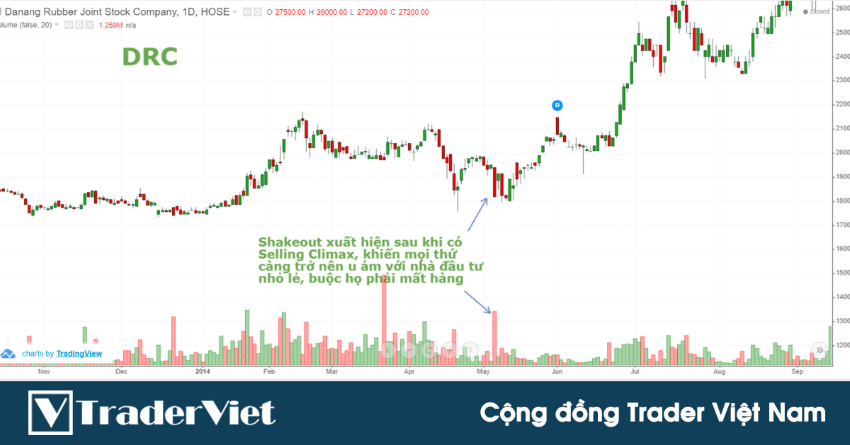 SHAKEOUT - Cơ hội tuyệt vời đến từ phương pháp WYCKOFF VSA