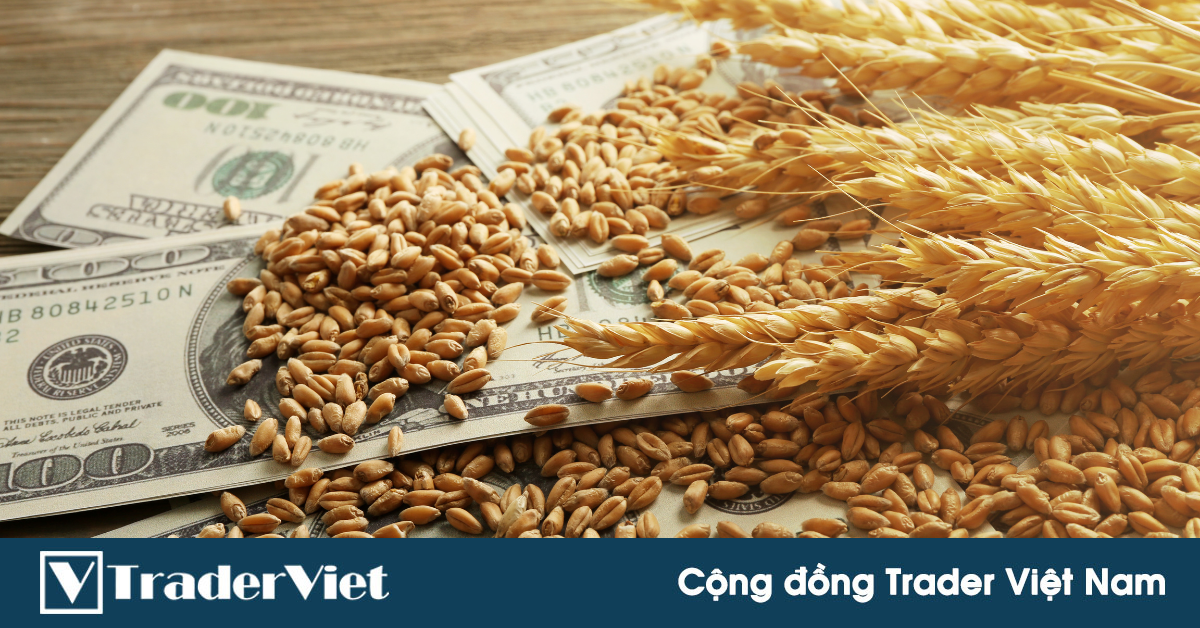 Báo cáo thanh tra xuất khẩu hàng hóa: Giao hàng Nông sản Mỹ giảm mạnh trong tuần trước