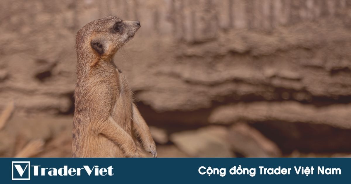 (Trader chia sẻ) Bạn đang đứng ở đâu?