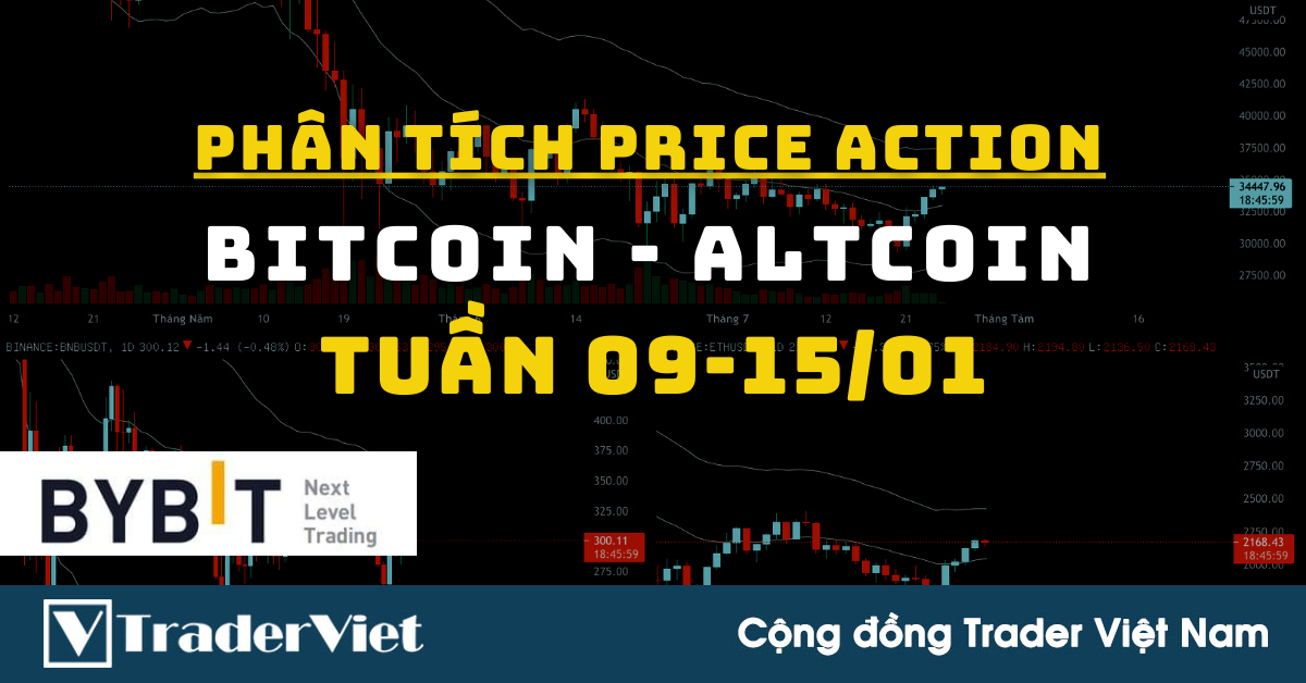Phân Tích BITCOIN - ALTCOIN Theo Price Action Tuần 09-15/01