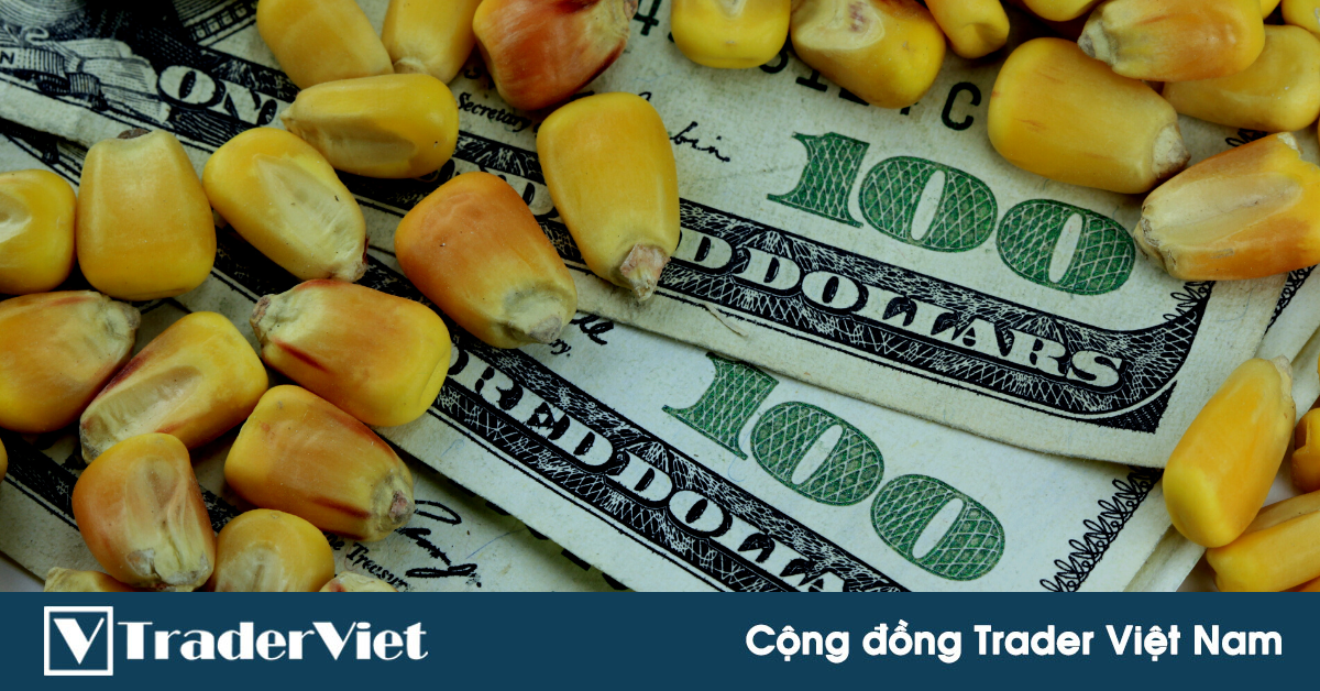 Báo cáo thanh tra xuất khẩu tuần: Giao hàng Ngô sang Trung Quốc tăng mạnh!