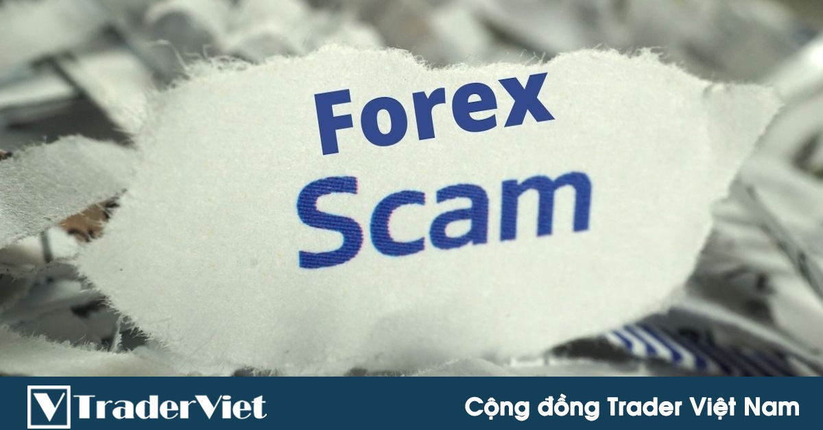 Nhiều người sập bẫy lãi suất cao của Forex Toàn Cầu