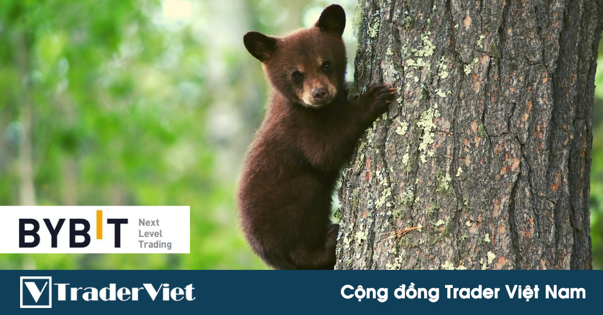 Hôm nay trade coin gì? - Ngày 27/1: Phe Gấu phản công!?