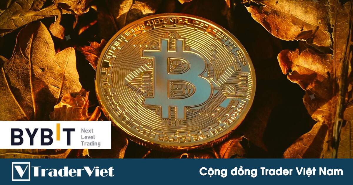Cay đắng khi giá Bitcoin giảm sốc, nhiều nhà đầu tư khóc ròng vì mất Tết