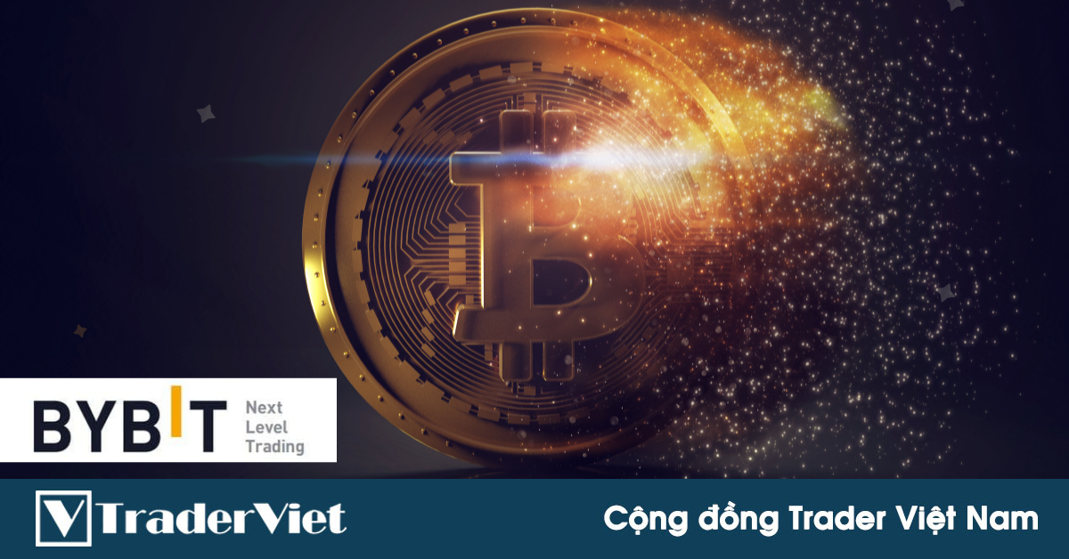 Tăng bốc đầu rồi rớt thẳng đứng, tiền điện tử sẽ ra sao trong năm 2022