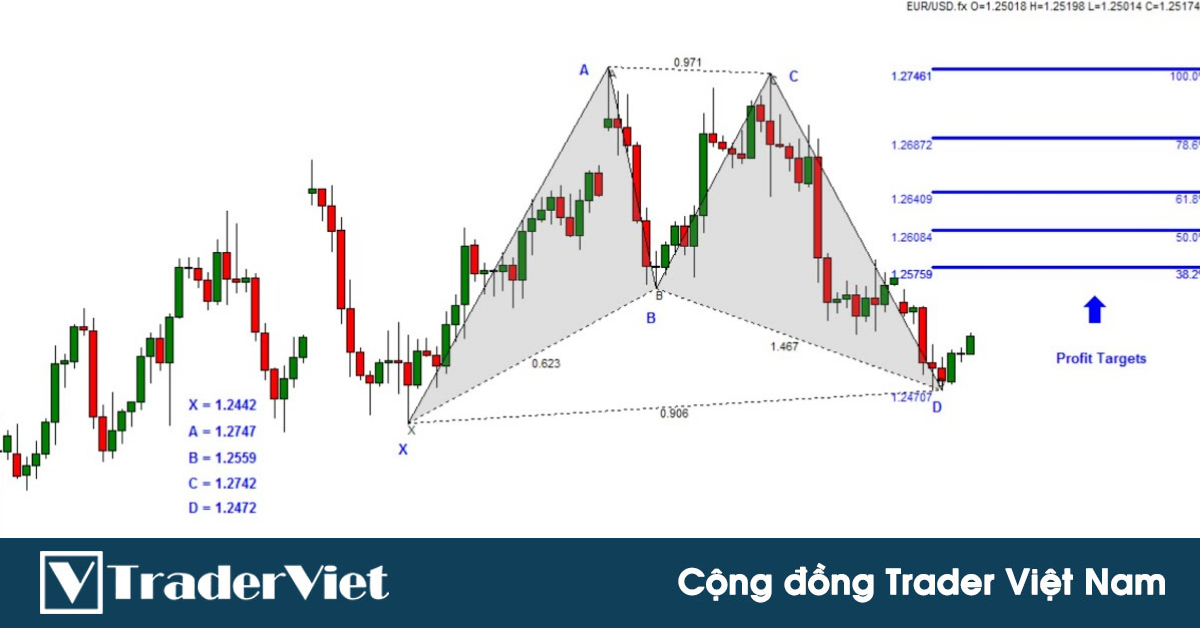 Xây dựng hệ thống giao dịch "chuẩn chỉ" với mô hình Gartley