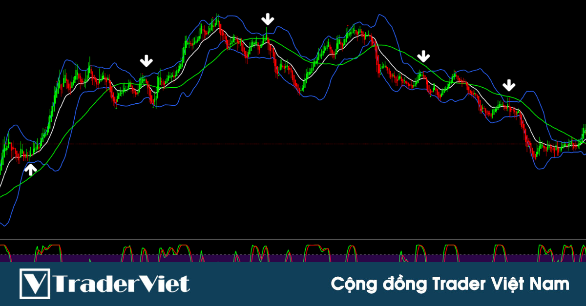 Trend Cycle Entry - Một hệ thống giao dịch theo xu hướng với winrate trên 70% được kiểm chứng trong nhiều năm