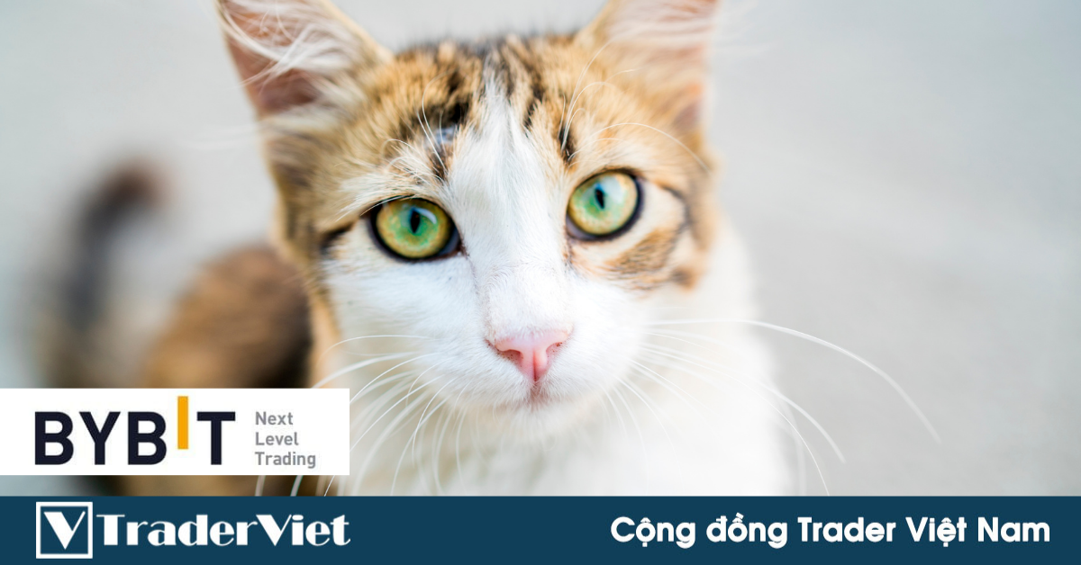 Hôm nay trade coin gì? - 01/3: Lại chuyển sang thế chờ!