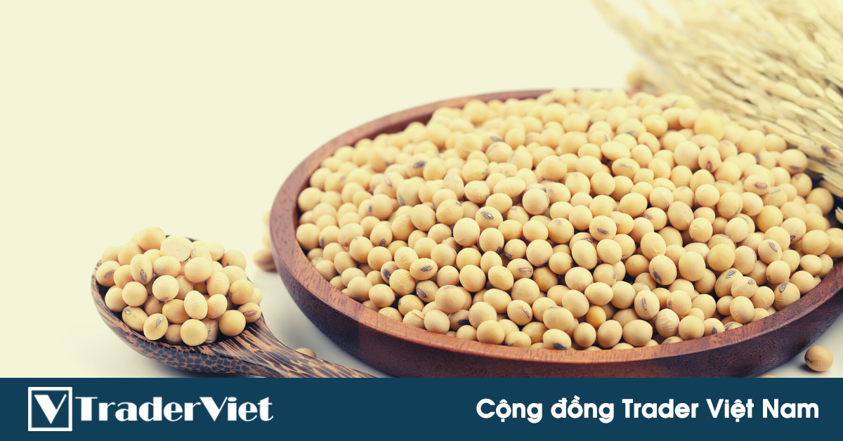 Giao Hàng Đậu Tương Mỹ Sang Trung Quốc Trong Xu Hướng Suy Yếu