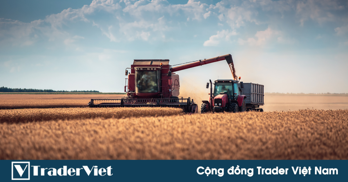 BÁO CÁO WASDE THÁNG 3/2022: Không phản ánh tác động của chiến sự Nga vs Ukraine