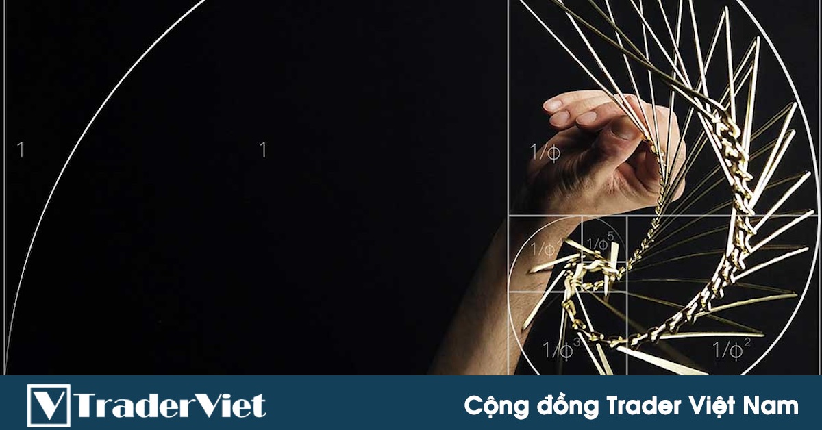 Luận bàn về Fibonacci (Phần 2): Điều kiện lý tưởng cho sự chính xác của Fibonacci