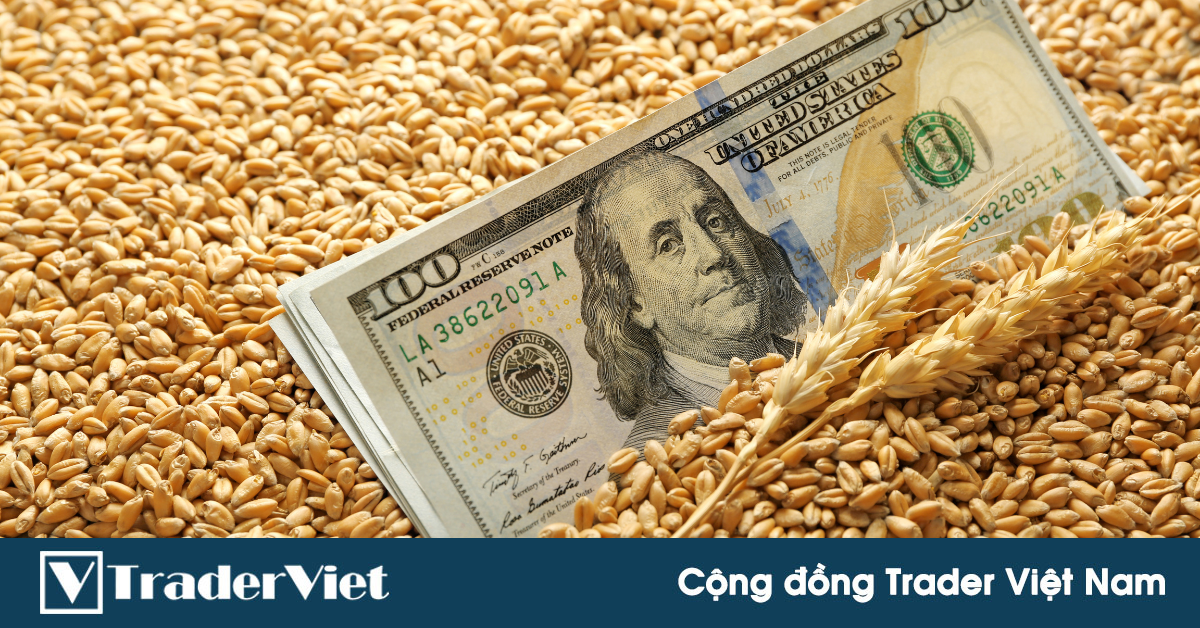 Giao Hàng Lúa Mì Mỹ Giảm Mạnh Do Kém Cạnh Tranh Về Giá