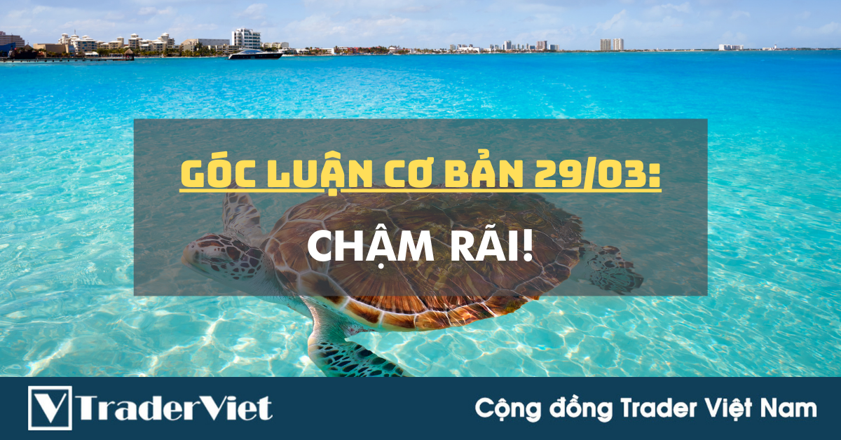 Góc luận Cơ bản 29/03: Chậm rãi!