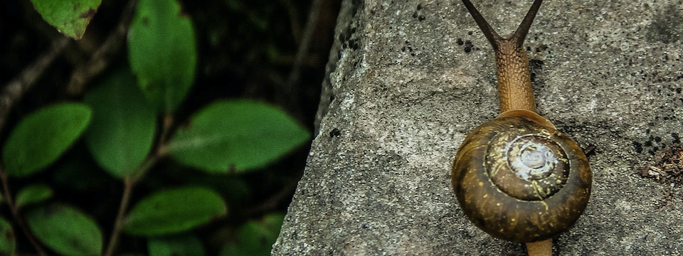 Đường Moving Average thế hệ 3 – Trung bình động không lag cho anh em Trader