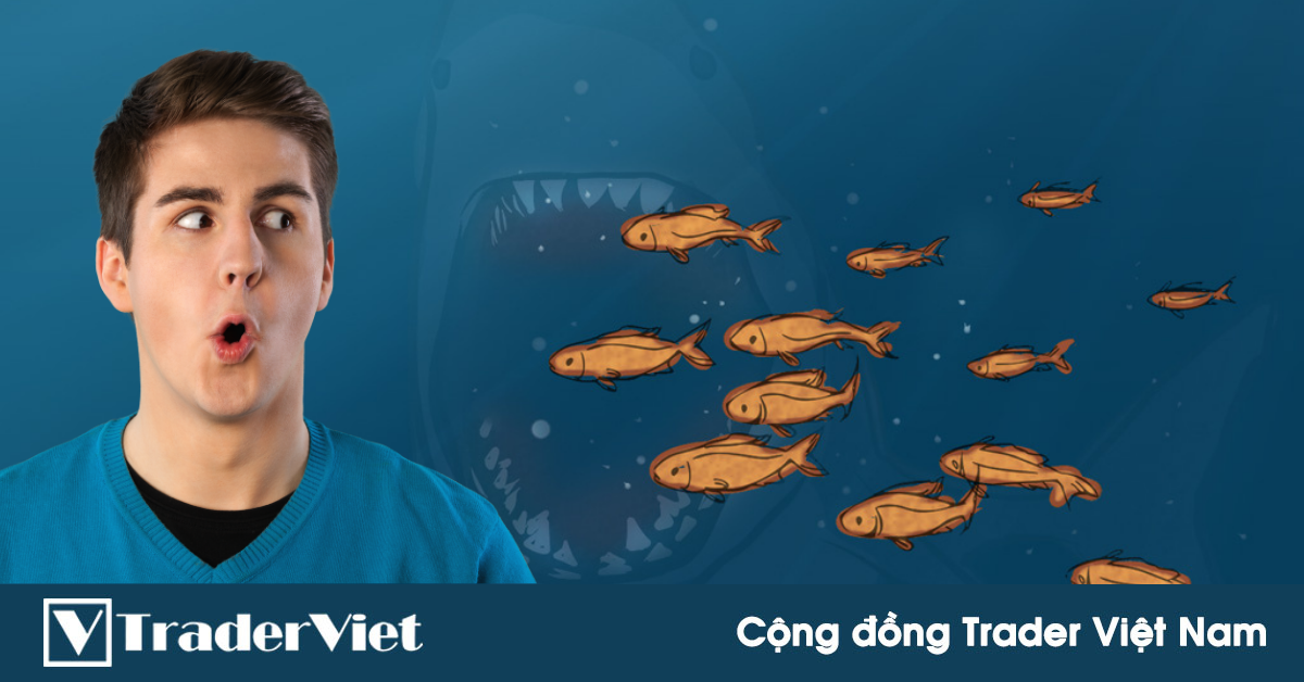STOP-HUNT: Toàn bộ sự thật và logic đằng sau hiện tượng này là gì?