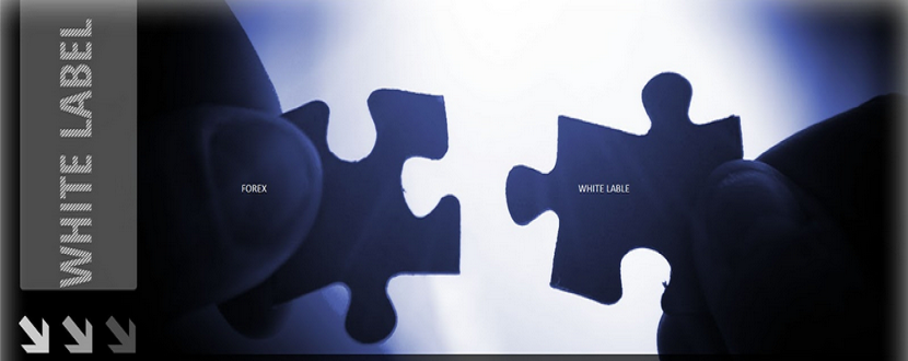 Những điều cần biết về Sàn White Label trong Forex