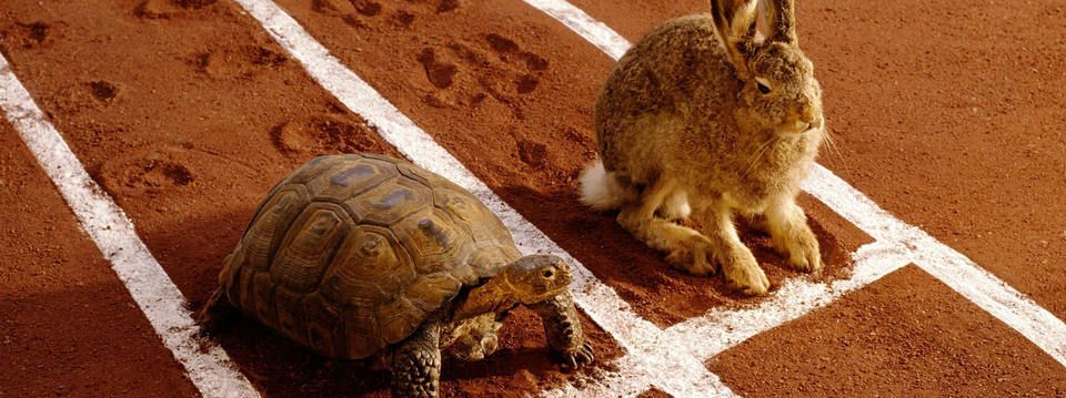 Câu chuyện muôn thuở Rùa - Thỏ và bài học trading
