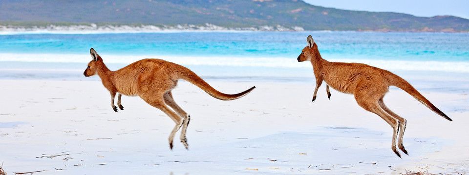 Muốn đón sóng sớm phiên Á? Đừng bỏ qua tin này