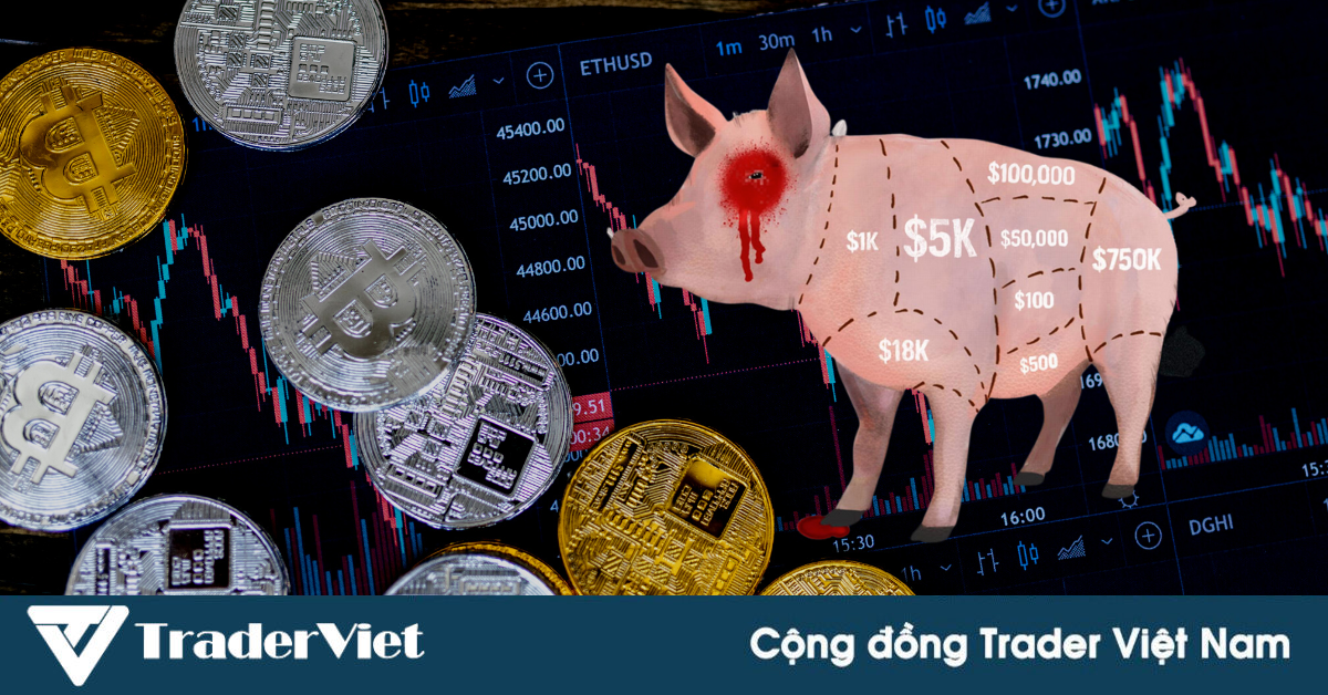 Người đàn ông mất hơn 1 triệu đô vì chiêu trò siêu lừa mang tên "Mổ Lợn" trên thị trường crypto - Nguyên nhân khiến MT4 và MT5 bị Apple gỡ khỏi App Store là đây?