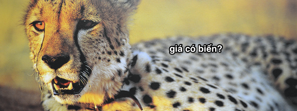 Chỉ báo Price Alert – Cần thiết đối với bất kỳ Trader nào