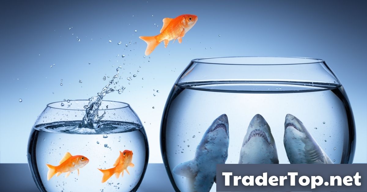 Điều gì xảy ra với Egroup của 'Shark' Nguyễn Ngọc Thủy khiến 'Shark' phải trả lãi đến nửa tỷ mỗi ngày?