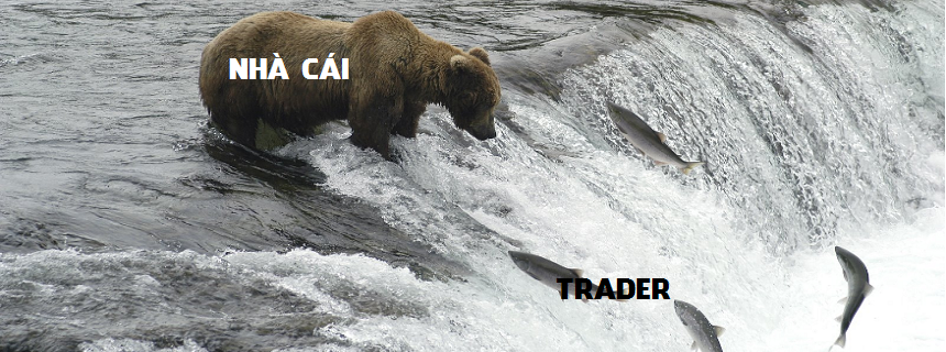 Trade ngược có được không ?