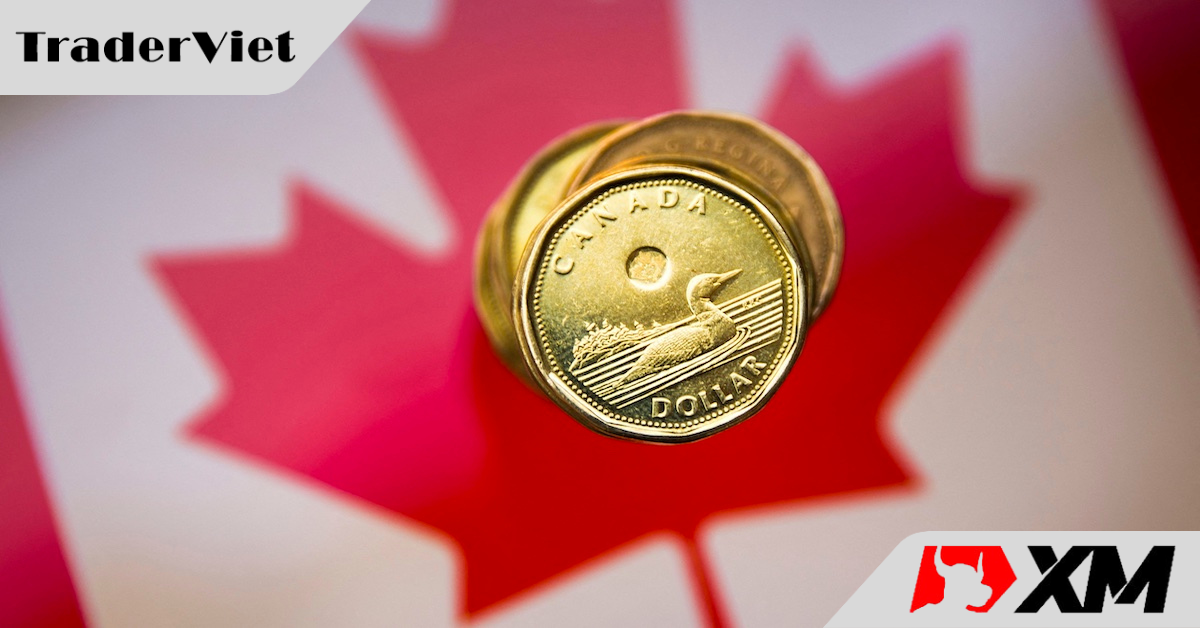 Đánh giá trước cuộc họp chính sách của BoC: Liệu có là NHTW về đích đầu tiên trong cuộc đua lãi suất?