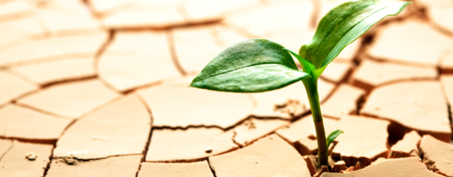 Những điều cần nắm để dựng xây một chiến lược giao dịch theo xu hướng hiệu quả