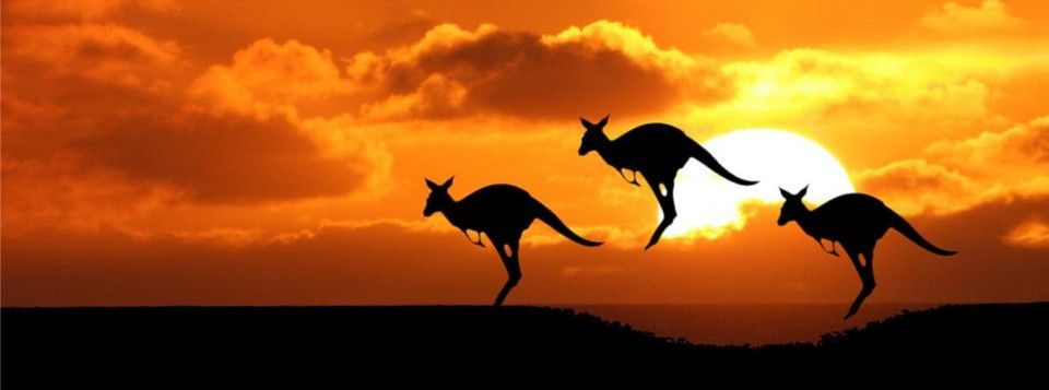 Anh em lưu ý đón sóng Aussie sớm sáng nay