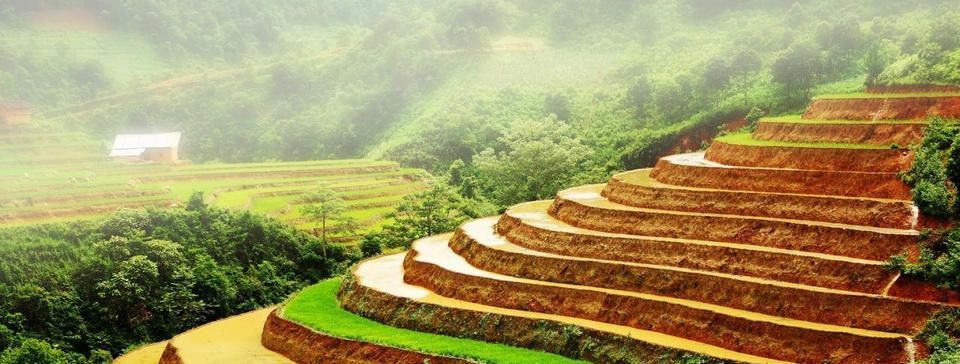 Kỹ thuật Scaling out mà trader cần biết